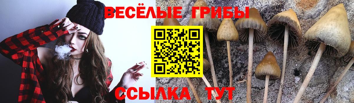 Псилоцибиновые грибы MAGIC MUSHROOMS  Вход с VPN  Гай 