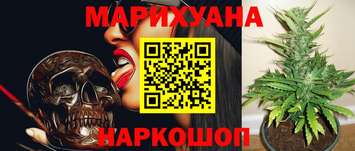 Канабис ГИДРОПОН Гай